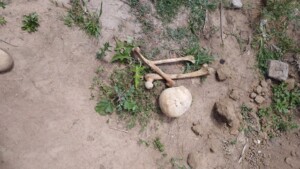 cranio_santoestevao-300x169-1