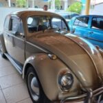dianacionaldofusca_neysilva_acordacidade-8-300x225-1