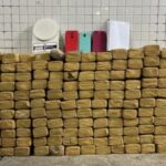 maconha_ssp-300x228-1
