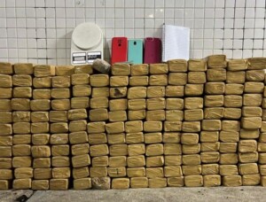 maconha_ssp-300x228-1