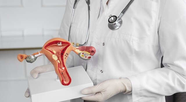 side-view-doctor-holding-anatomic-model-cancer-de-colo-de-utero-saude-janeiro-640x350-1