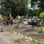 Area-em-frente-ao-CSU-300x151-1