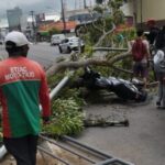 Arvore-cai-na-Avenida-Getulio-Vargas-e-duas-pessoas-ficam-feridas-Foto-Enviada-pelo-WhatsApp-300x276-1