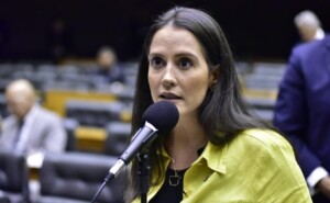 Deputada-Amalia-Barros-300x185-1