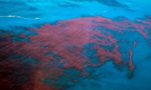 PE-tem-novos-casos-suspeitos-de-intoxicacao-pela-mare-vermelha-Foto-Cetesb-Divulgacao-300x179-1