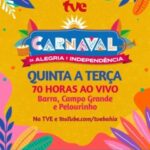 TVE-transmissao-do-carnaval-240x300-1