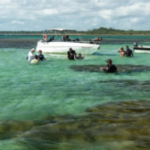 Turismo-Bahia-300x168-1