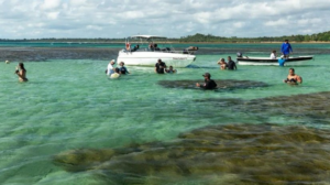 Turismo-Bahia-300x168-1