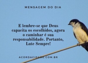 mensagem-de-reflexao-bom-dia-6-300x213-1