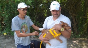 vacinacao-contra-raiva-ft-seom-pmfs-300x166-1