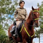 Cavalaria-da-policia-militar-300x223-1