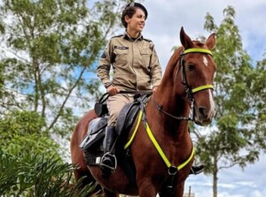 Cavalaria-da-policia-militar-300x223-1