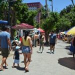 Compra-e-venda-de-artesanatos-e-antiguidades-movimentam-a-avenida-Getulio-Vargas-Foto-Jorge-Magalhaes.jpg3_-300x200-1