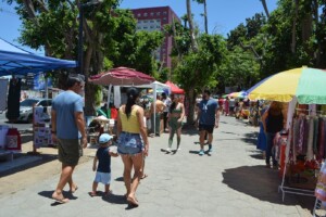Compra-e-venda-de-artesanatos-e-antiguidades-movimentam-a-avenida-Getulio-Vargas-Foto-Jorge-Magalhaes.jpg3_-300x200-1