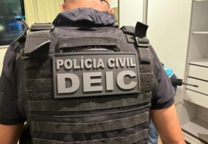 Deic-300x208-1