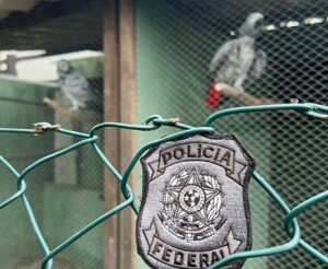 Foto-Policia-Federal-Divulgacao-300x246-1