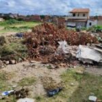 Infestacao-de-animais-peconhetos-na-mangabeira-foto-Ed-Santos-acorda-cidade1-300x169-1
