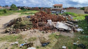 Infestacao-de-animais-peconhetos-na-mangabeira-foto-Ed-Santos-acorda-cidade1-300x169-1
