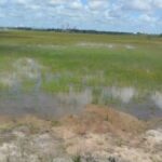 Lagoa-Salgada-passa-por-limpeza3-300x170-1