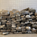 Maconha-em-Oliveira-dos-Brejinhos-300x197-1