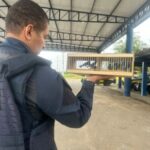 PRF-flagra-transporte-ilegal-de-aves-silvestres-na-BR-116-em-Feira-de-Santana-Foto-PRF-300x291-1