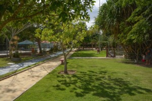 Parque-da-Lagoa-Foto-Ed-Santos-Acorda-Cidade-9-300x200-1