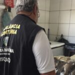 Vigilancia-Sanitaria-inspeciona-venda-de-peixes-na-feirinha-da-Cidade-Nova-e-regiao-central2-300x250-1