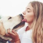 beijo-pets-animais-300x201-1