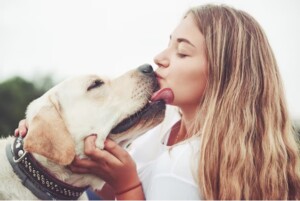 beijo-pets-animais-300x201-1