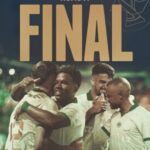 card-palmeiras-274x300-1