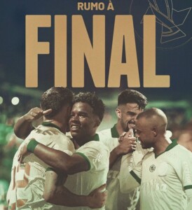 card-palmeiras-274x300-1