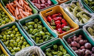 legumes-aliments-cesta-basica-verduras-temperos-foto-rafa-neddermeyer-ag-brasil-300x180-1