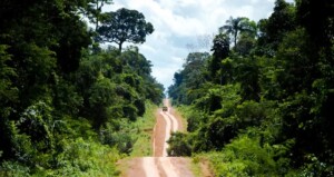 Amazonia-estradas-300x159-1