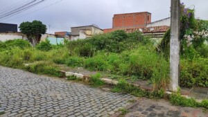 Avenida-Maria-Quiteria-terreno-baldio-Foto-Ed-Santos-Acorda-cidade.jpg1_-300x169-1