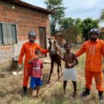 Bombeiros-resgatam-cavalo-preso-em-fossa-no-povoado-Conquista-em-Barreiras-Foto-Ascom-Corpo-de-Bombeiros-300x225-1