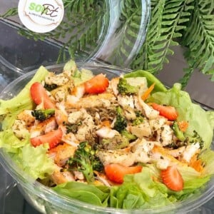 Salada-SouFit-Divulgacao-300x300-1
