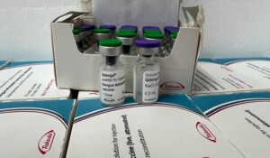 Vacins-vacinacao-qdenga-300x175-1