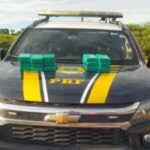 apreensao-da-PRF-300x193-1
