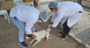 vacinacao-de-animais-vacina-antirrabica-ft-Thiago-Paixao-300x161-1