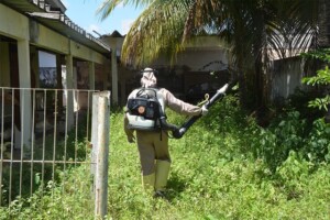 Cambate-da-dengue-Foto-ACM-1-300x200-1