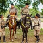 Cavalaria-da-policia-militar-instagram-300x220-1