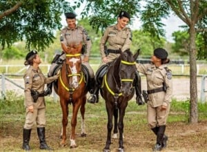 Cavalaria-da-policia-militar-instagram-300x220-1