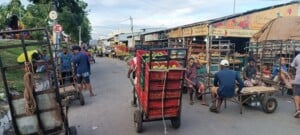 Centro-de-abastecimento-feriado-dia-do-trabalhador-foto-reporter-paulo-jose-acorda-cidade-300x135-1