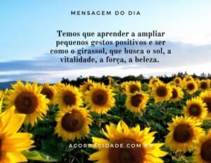 Copia-de-Copia-de-mensagem-de-reflexao-13-300x232-1