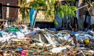 Desastre-ambiental-acumulo-foto-Rafa-Neddermeyer-Agencia-Brasil-300x180-1