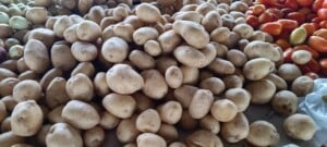 Legumes-feirinha-da-estacao-nova-batatinha-foto-reporter-paulo-jose-acorda-cidade-300x135-1