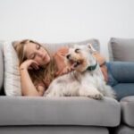 Pet-em-sofa-Foto-Freepik-300x200-1