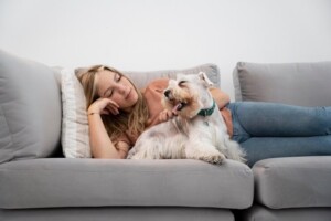 Pet-em-sofa-Foto-Freepik-300x200-1