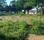 Praca-Morada-das-Arvores-Foto-Paulo-Jose-Acorda-Cidade-300x135-1