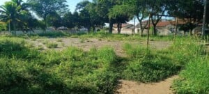 Praca-Morada-das-Arvores-Foto-Paulo-Jose-Acorda-Cidade-300x135-1